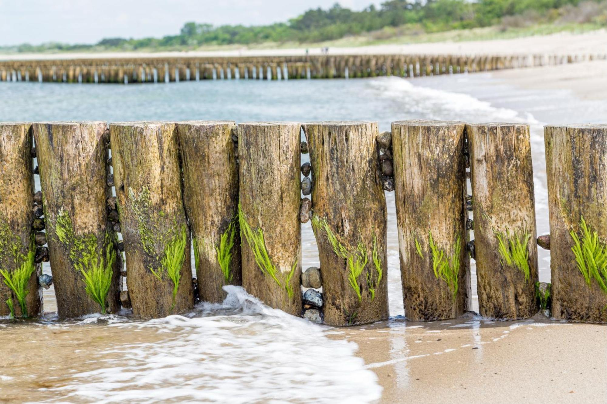 Schmidt Warnemuende - Strandhaus In Erster Meereslinie I Rostock