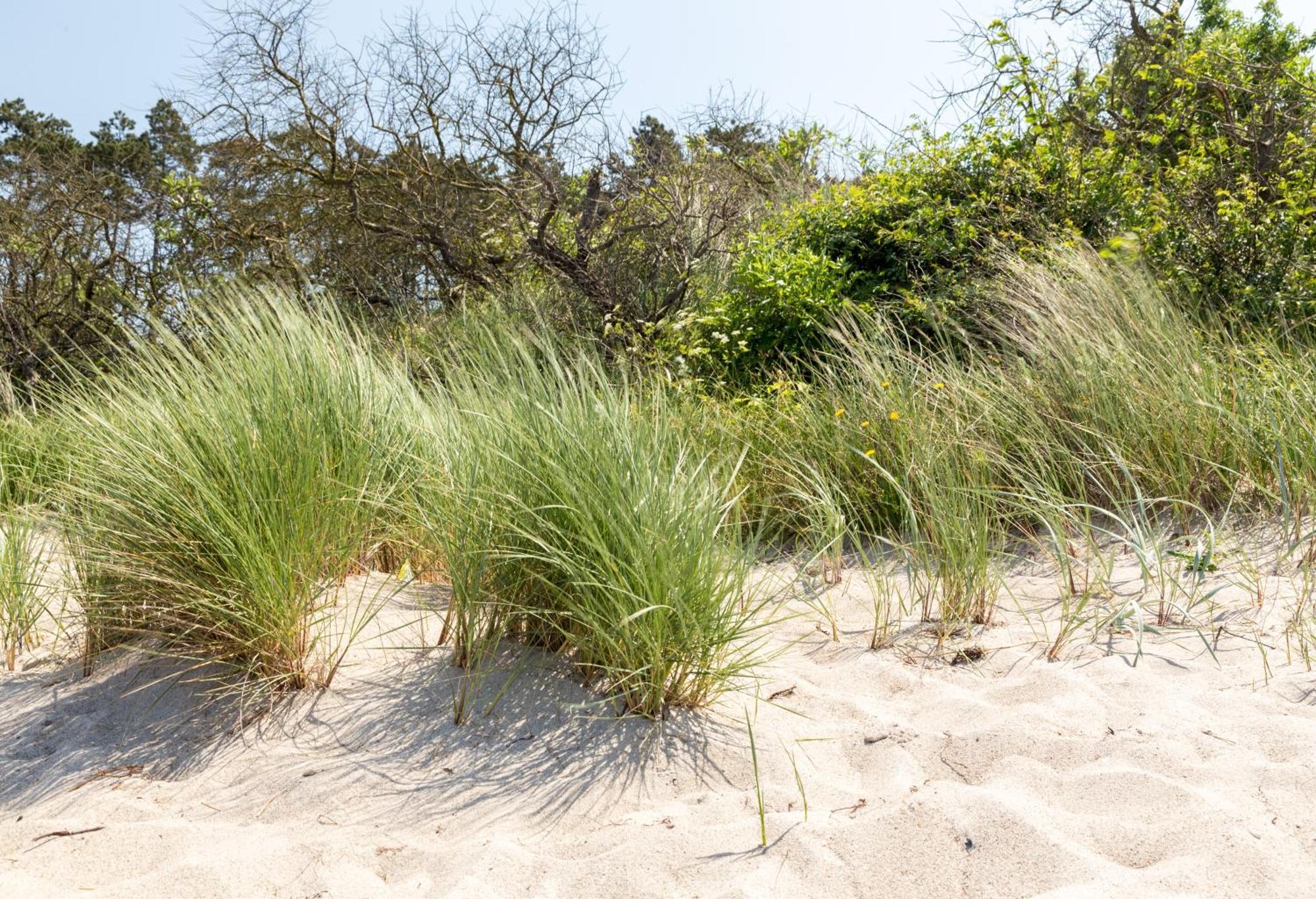 Apartment Schmidt Warnemuende - Strandhaus In Erster Meereslinie I